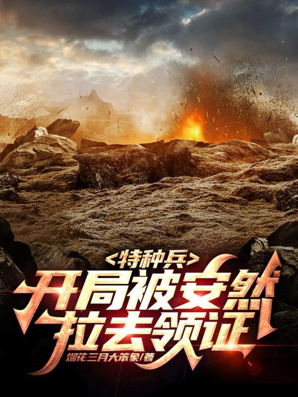 我儿边关一战txt