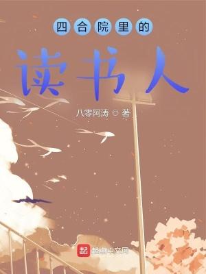 四合院里故事