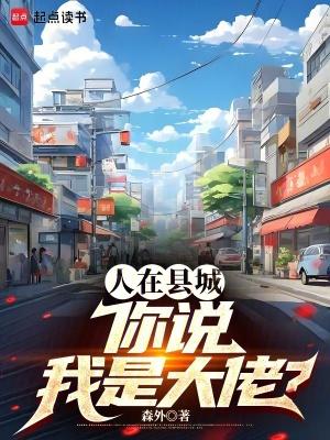 人在县城你说我是大佬无错