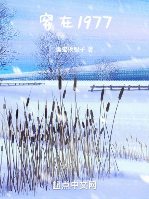 穿在1977 第857章